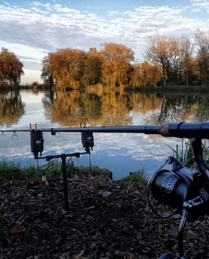 Our range of Autumn Carp Rigs