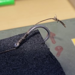 Hair Rig for Catfish - Professionally Tied Carp Rigs